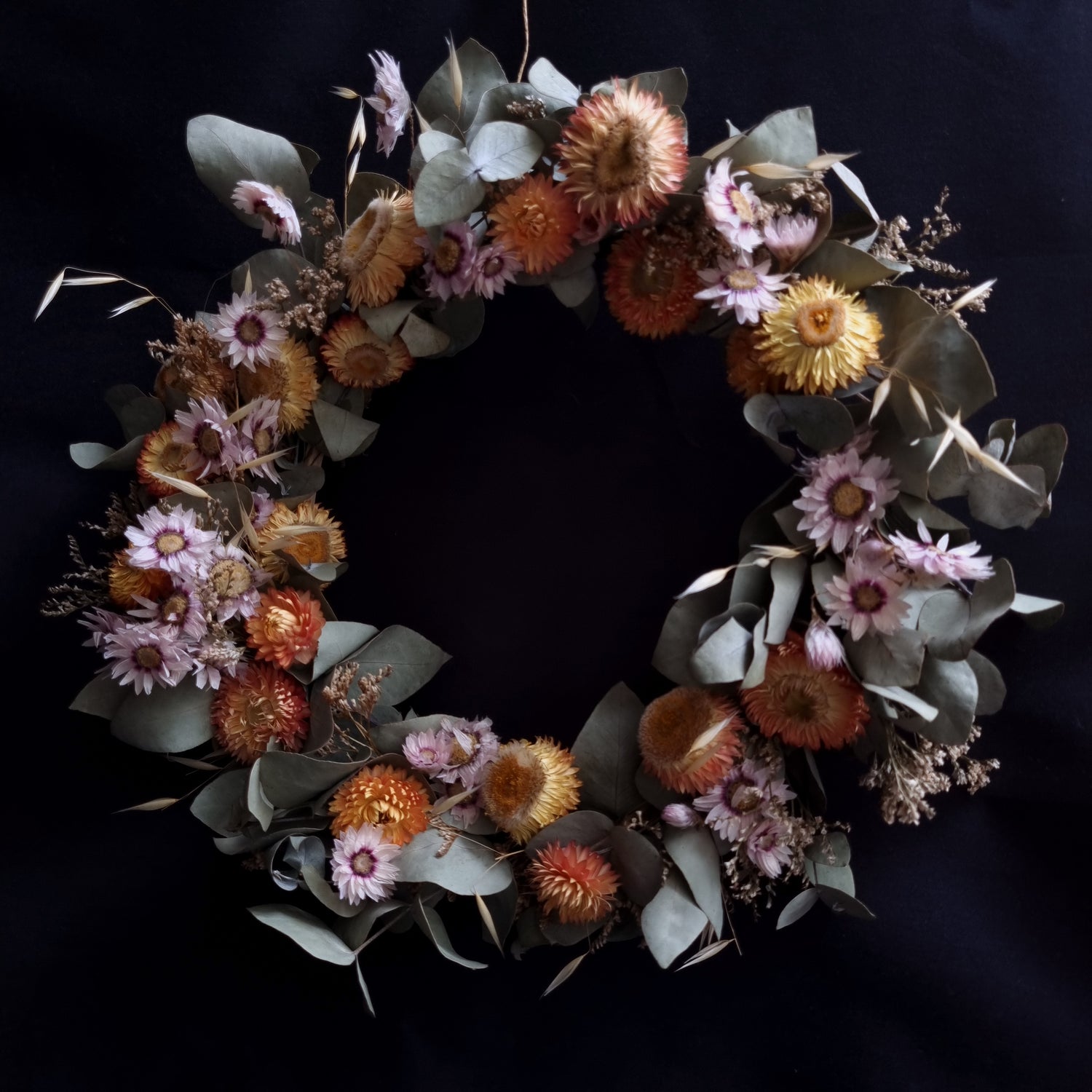 Daisy & Eucalyptus Dried Floral Wreath - Medium